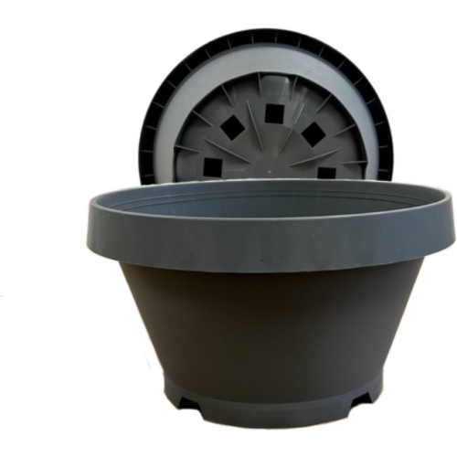 C0015 (27cm)