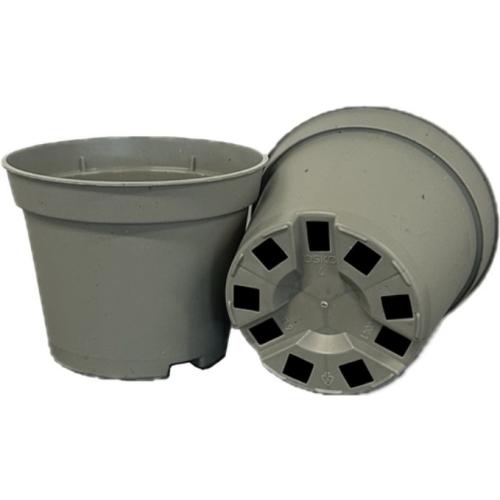 T0041 (6cm)